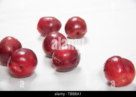 Prune rouge posé nonchalamment sur fond blanc Banque D'Images