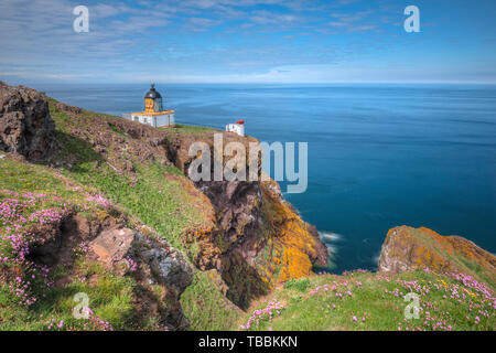 St Abbs, Berwickshire, en Écosse, Royaume-Uni, Europe Banque D'Images