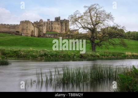 Château d'Alnwick, Northumberland, Royaume-Uni, Europe Banque D'Images