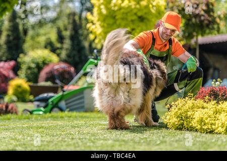 Les hommes d'avoir du plaisir avec son chien. Berger Allemand et homme de race blanche dans la trentaine. Banque D'Images