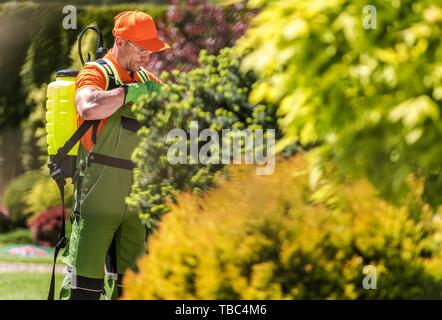 Jardinier du Caucase dans la trentaine se préparer à l'aide d'insecticide Plantes Engrais liquide d'équipement. Banque D'Images