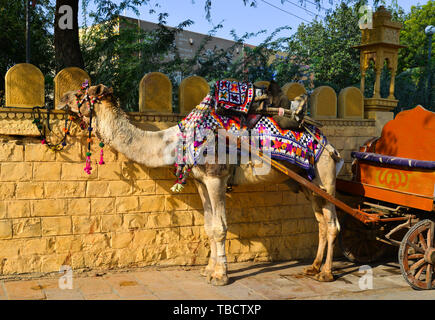 Jaisalmer, Inde - Nov 9, 2017. Taxi de chameaux dans les rues de Jaisalmer, Inde. Jaisalmer est sur la frontière la plus occidentale de l'Inde. Banque D'Images