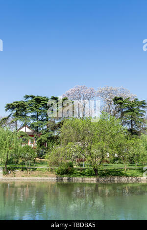 Parc de la ville, le lac Banque D'Images