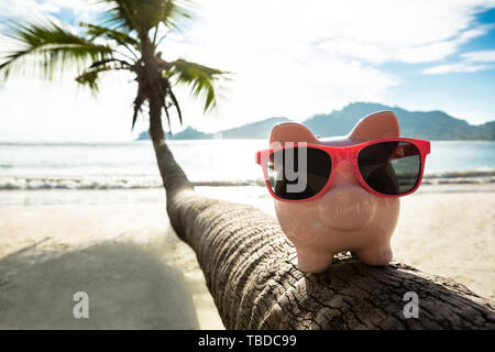 Tirelire rose avec des lunettes de travers sur le tronc de palmier contre le ciel bleu Banque D'Images