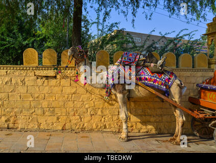 Jaisalmer, Inde - Nov 9, 2017. Taxi de chameaux dans les rues de Jaisalmer, Inde. Jaisalmer est sur la frontière la plus occidentale de l'Inde. Banque D'Images