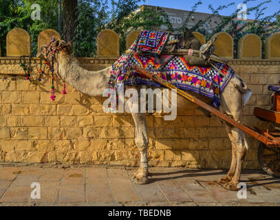 Jaisalmer, Inde - Nov 9, 2017. Taxi de chameaux dans les rues de Jaisalmer, Inde. Jaisalmer est sur la frontière la plus occidentale de l'Inde. Banque D'Images