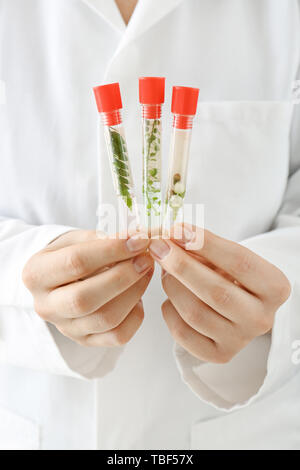 Doctor holding tubes à essai avec des plantes, gros plan Banque D'Images