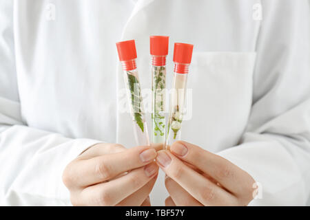 Doctor holding tubes à essai avec des plantes, gros plan Banque D'Images