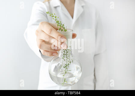 Doctor holding flask avec plantes, gros plan Banque D'Images