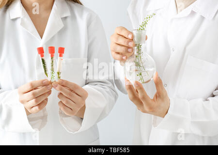 Doctors holding tubes à essai et la fiole avec de plantes sur fond blanc Banque D'Images