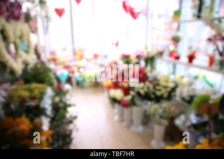 Intérieur du magasin de fleur moderne, vue brouillée Banque D'Images