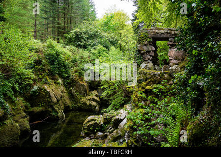 Les arbres, les lacs et les ruisseaux de Tollymore Forest Park, Irlande Banque D'Images