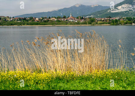 La piste cyclable dans le parc du Lac d'annone, Lecco, Lombardie, Italie, au printemps (avril) Banque D'Images