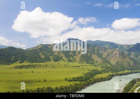 Vue panoramique de la vallée de l'été, lumière douce, nuages blancs, ciel bleu. Montagnes de l'Altaï. De la rivière Katun. Banque D'Images