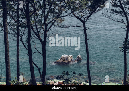 Voir l'fromTaejongdae à travers les arbres du parc sur le rocher dans la mer aux beaux jours Banque D'Images