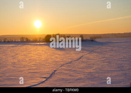 Champ d'hiver coucher de soleil sur sentier. Banque D'Images