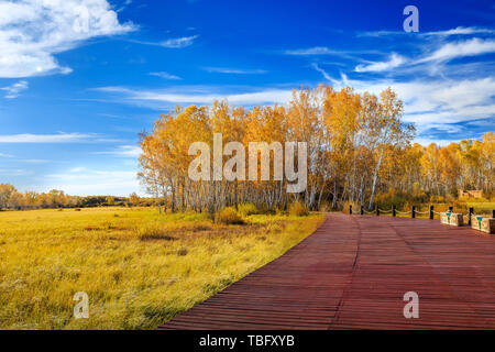 Couleurs d'automne sur les rives du lac de Sun sur le barrage de paddock Banque D'Images