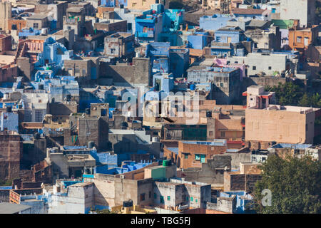 Toits de la ville bleue de Jodhpur Banque D'Images