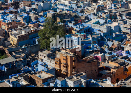 Toits de la ville bleue de Jodhpur Banque D'Images