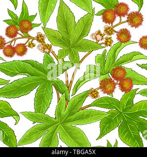 Vecteur de ricin sur fond blanc Illustration de Vecteur