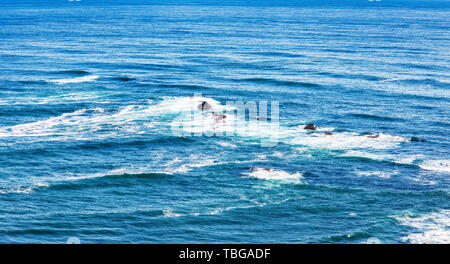 Vue aérienne de au-dessus de l'océan, les rochers et les vagues de l'eau dans l'océan Pacifique Banque D'Images