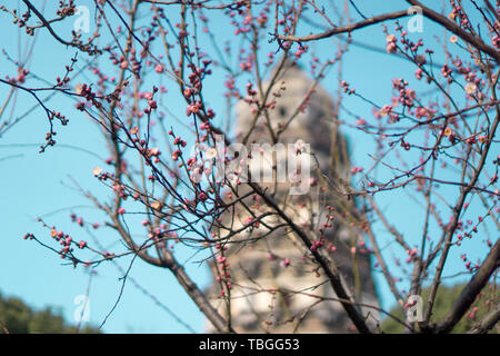 Tour Huqiu, Huqiu Scenic Area, Suzhou Banque D'Images