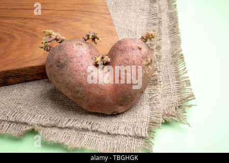 Un laid pomme de terre sur la toile de jute sur conseil cuisine en bois sur fond vert. Banque D'Images