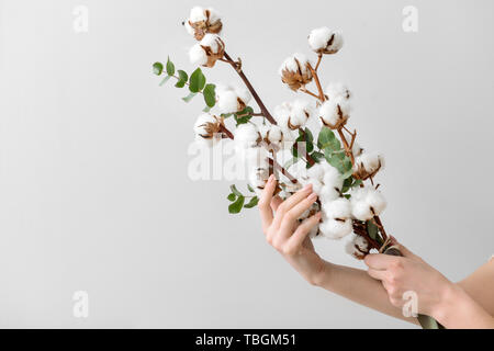 Les mains tenant composition florale avec fleurs de coton sur fond clair Banque D'Images