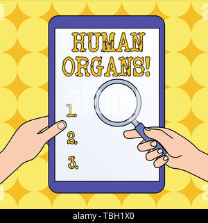 Signe texte Huanalysis montrant les organes. Le texte de la photo d'entreprise structures génitales internes de l'huanalysis Corps Mains Holding Magnifying Glass contre Banque D'Images