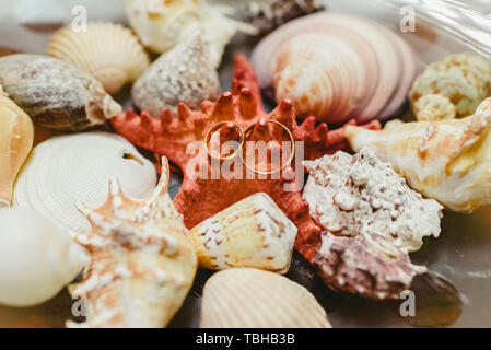 Les anneaux de mariage entouré par les coquillages, encadrée dans thème maritime. Banque D'Images