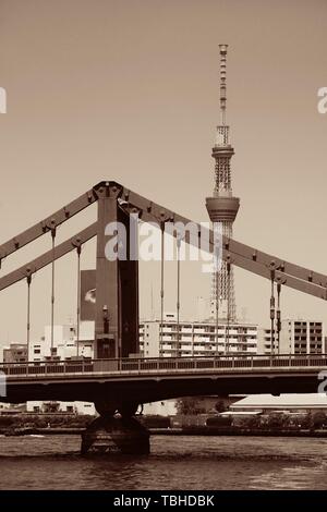 TOKYO, JAPON - 15 MAI : Skytree comme la ville monument le 15 mai 2013 à Tokyo. Tokyo est la capitale du Japon et de la zone métropolitaine la plus peuplée au monde Banque D'Images