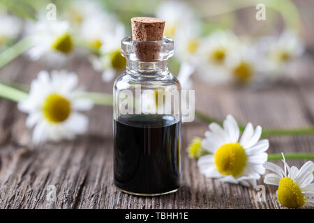 Une bouteille de bleu foncé de l'huile essentielle de camomille et de fleurs fraîches dans l'arrière-plan Banque D'Images