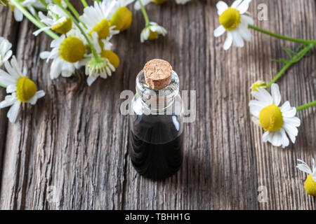 Une bouteille de bleu foncé de l'huile essentielle de camomille et de fleurs fraîches dans l'arrière-plan Banque D'Images