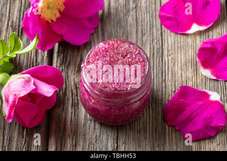 Pétales de rose Rugosa frais écrasés avec le sucre de canne Banque D'Images