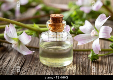 Une bouteille d'huile essentielle avec la mauve Malva neglecta plante en fleurs fraîches Banque D'Images