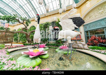 Las Vegas, APR 28 : Spécial Printemps japonais afficher en Bellagio Conservatory & Botanical Gardens on APR 28, 2019 à Las Vegas, Nevada Banque D'Images