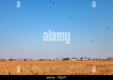 Six Parachutistes Parachute Landing sur le champ jaune au cours de sports extrêmes et d'un saut d'un avion d'une hauteur dans le ciel bleu à hou Banque D'Images