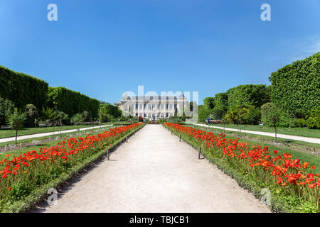 Jardin des Plantes de Paris Banque D'Images