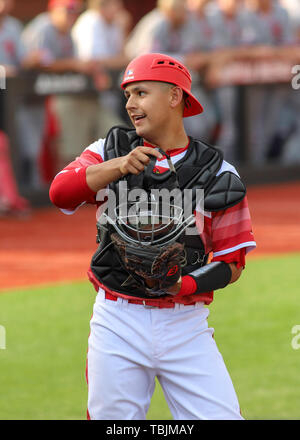 Louisville, Kentucky, USA. 31 mai, 2019. Louisville catcher Zeke Pinkham lors d'une régionale Baseball NCAA à Jim Patterson Stadium à Louisville, KY. Kevin Schultz/CSM/Alamy Live News Banque D'Images