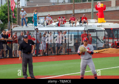 Louisville, Kentucky, USA. 31 mai, 2019. Louisville Cardinals fans watch l'action au cours d'un base-ball NCAA au stade régional Jim Patterson à Louisville, KY. Kevin Schultz/CSM/Alamy Live News Banque D'Images