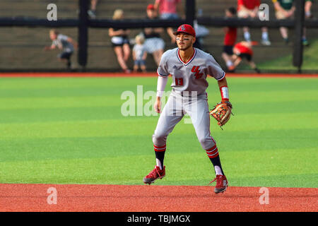 Louisville, Kentucky, USA. 31 mai, 2019. Ryan de l'UIC lors d'une Lin-Peistrup Baseball NCAA au stade régional Jim Patterson à Louisville, KY. Kevin Schultz/CSM/Alamy Live News Banque D'Images