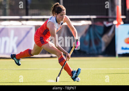 Eindhoven, Pays-Bas. 01 Juin, 2019. EINDHOVEN, FIH Pro League 2019, le hockey mesdames, 01-06-2019, SC Oranje - Rood, Pays-Bas player Marloes Keetels : Crédit Photos Pro/Alamy Live News Banque D'Images