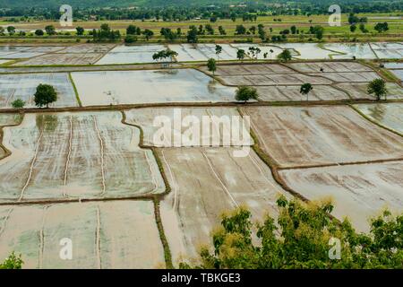 Les champs de riz de l'ensemble du temple, Wat Tham Khao Noi, Ta Mueang, la province de Kanchanaburi, Thaïlande Banque D'Images