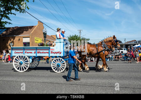 Laurel Farm & Western dans le chariot d'alimentation 2019 agriculteurs Lynden Day Parade. Lynden, Washington Banque D'Images