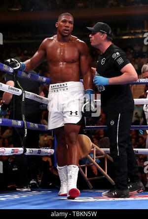 Formateur Robert McCracken (à droite) parle à Anthony Joshua lors de la WBA, IBF, WBO et IBO Championnats du Monde Poids Lourd match contre Andy Ruiz Jr au Madison Square Garden, New York. Banque D'Images