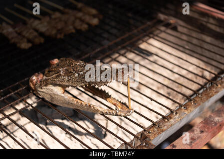 Close up de tête de crocodile grillés sur le charbon cuisinière dans la rue du marché. Concept de l'alimentation et la cuisine exotique. Banque D'Images