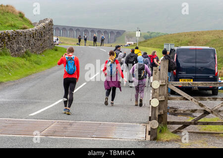 01.06.19 Ribblehead, North Yorkshire, England, UK,Walker approchant Ribblehead viaduc sur les Yorkshire Dales 3 Sommets Banque D'Images