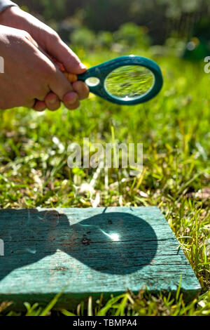 Homme tenant une loupe faisant feu, axé sur le bois. Banque D'Images