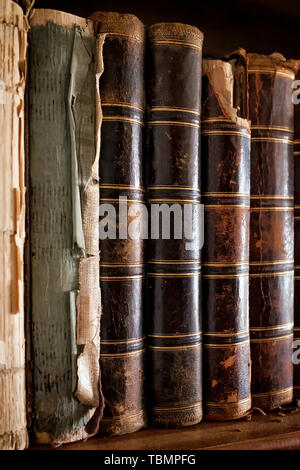 Old vintage books debout dans une ligne. Étagère de bibliothèque à l'université. Banque D'Images