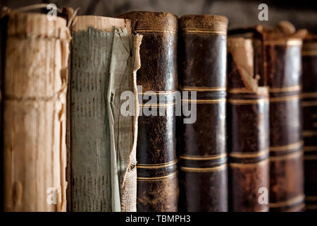 Old vintage books standing in a row Banque D'Images